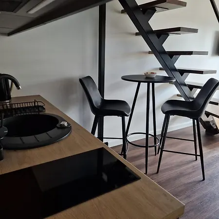 Apartment Radio Loft-468 *